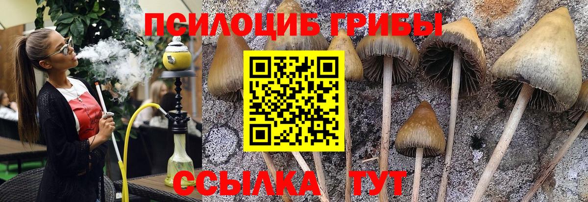 Галлюциногенные грибы MAGIC MUSHROOMS Тихвин