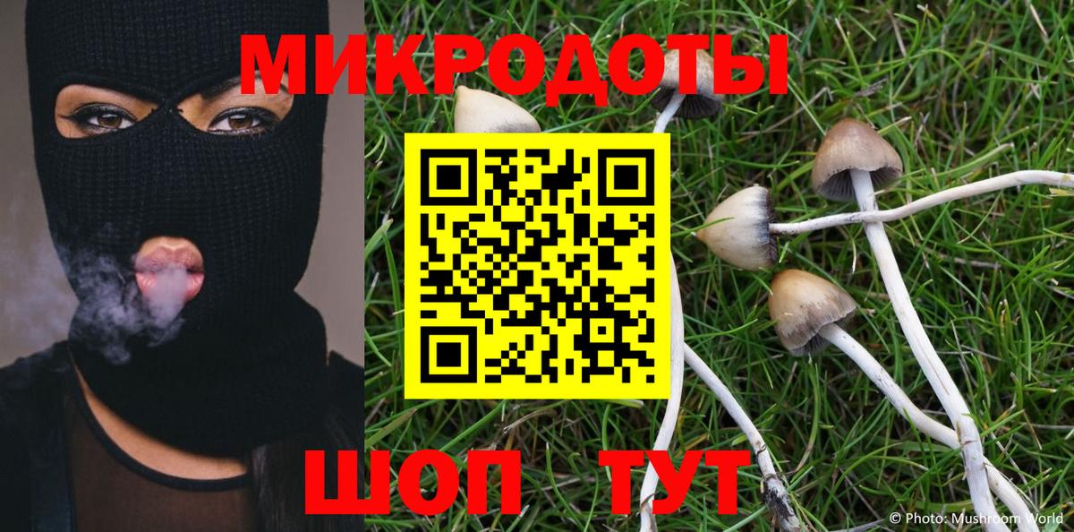 купить наркотики сайты  Вход с VPN  Тихвин  Псилоцибиновые грибы MAGIC MUSHROOMS 